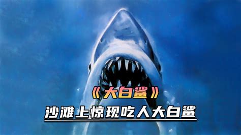 海滩上惊现大白鲨，游客却不止危险来临《大白鲨》\n