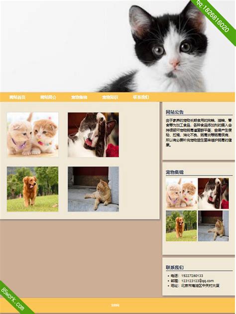 仿织梦猫下载站整站源码 dedecms资源网站源码 素材程序下载 - 好模板分享