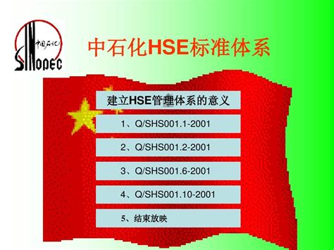 中国石化标准化之 HSE标准体系_word文档免费下载_文档大全