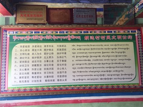 【网络媒体西藏行】带你走进真实的西藏小村庄-国内频道-内蒙古新闻网