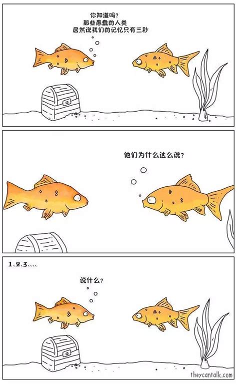 鱼的记忆真的只有七秒吗，为什么鱼的记忆只有七秒