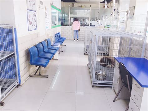 瑞派宠物医院（爱宠联盟医院）-瑞派宠物医院管理股份有限公司