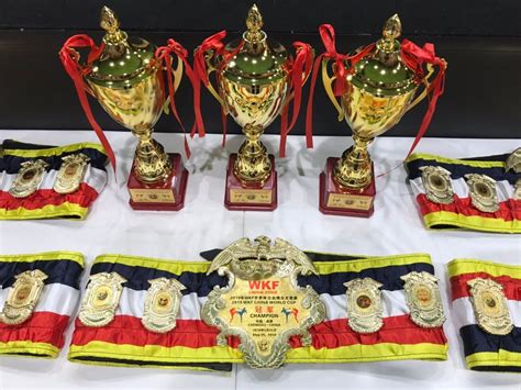 “2019年WKF世界杯自由搏击大奖赛”在成都举行-WKF世界自由搏击联合会