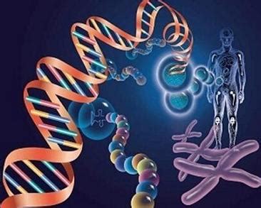 科学基因组研究、生物技术实验室实验、基因科学测试插画图片素材_ID:408789642-Veer图库
