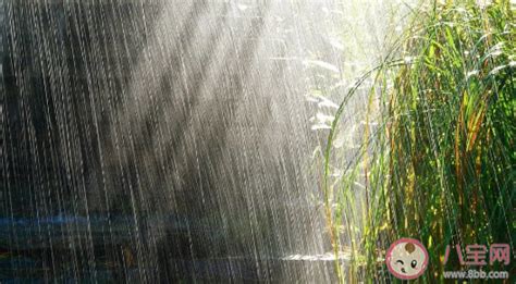 窗外下雨睡不着的说说 半夜下雨睡不着的朋友圈说说 _八宝网