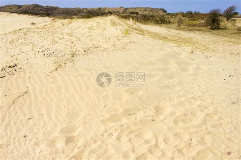 内黑兰国家公园沙地背景植物蓝色沙丘天空木头支撑植物群天气风景公园高清图片下载-正版图片321948134-摄图网