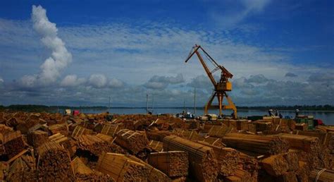 永川西部港桥木材市场9月启动试运营-中国木业网