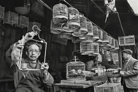 中国十大摄影师-郎静山上榜(上千幅作品展出)-排行榜123网