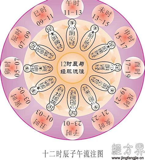 子午流注图图片