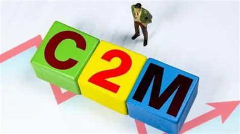 C2M定制模式市场分析报告_2021-2027年中国C2M定制模式市场研究与投资战略咨询报告_中国产业研究报告网