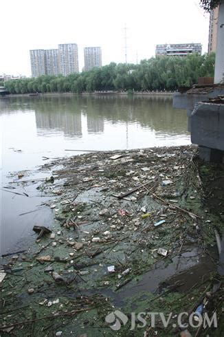 南京下关三汊河江渔汇河坊周边积聚大量水漂垃圾 暴雨过后两天仍无人清理