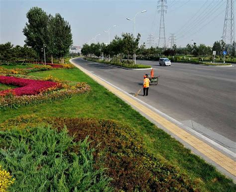 工程案例-青州市温馨园林绿化工程有限公司