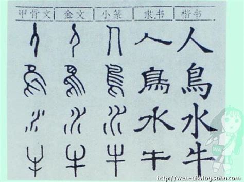 汉字的变迁史，汉字最初是什么样子呢