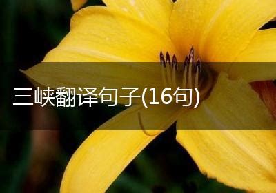 三峡翻译句子(16句)