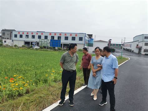 伊通县农技推广总站加快玉米主导品种试验示范作业