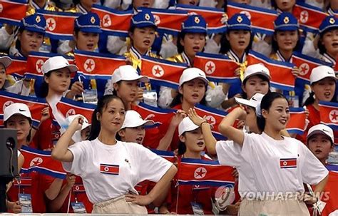 平昌冬奥朝鲜代表团和拉拉队抵达平壤-搜狐大视野-搜狐新闻