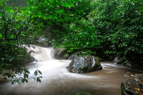 莫里瀑布,莫里热带雨林景区,扎朵瀑布_大山谷图库