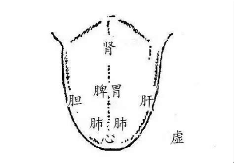 肝胆区的准确位置图,肝胆准确位置图,肝胆位置图片清晰图片(第3页)_大山谷图库