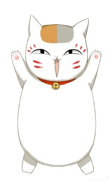 猫咪老师图片