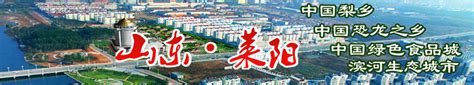 莱阳市政府门户网站 职业指导 莱阳市人力资源市场招聘岗位信息（2020年第31期）