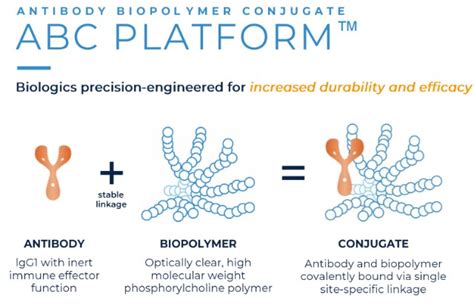 一种抗VEGF抗体体内表达系统的构建和应用的制作方法