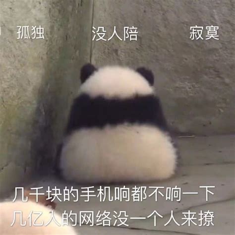 《突然出现》系列表情包图片