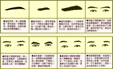 【图】眉毛与脸型的搭配图 详细教你怎么画眉_眉毛与脸型的搭配图_伊秀美容网|yxlady.com