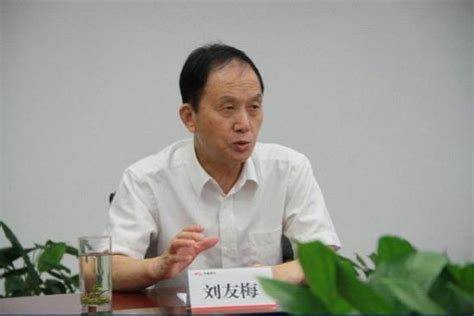 大咖访谈｜中国工程院院士刘友梅：智能和绿色是轨道交通未来的发展方向 - 大咖说 - 新湖南