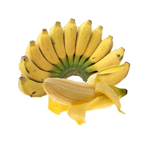 蕉蕉ya图片