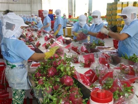 水果出口需注意，泰国颁布进口新鲜果蔬农药残留监控新规定 | 国际果蔬报道