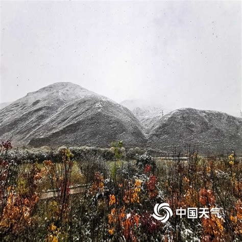 青海果洛州班玛县迎来今秋首场降雪 将降低森林草原火险等级-图片-中国天气网
