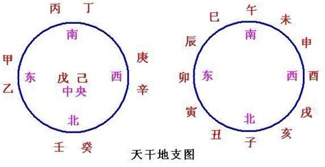 天干地支图图片