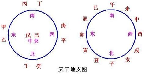 四柱八字知识详解（小白入门学习）_干支_天干_地支