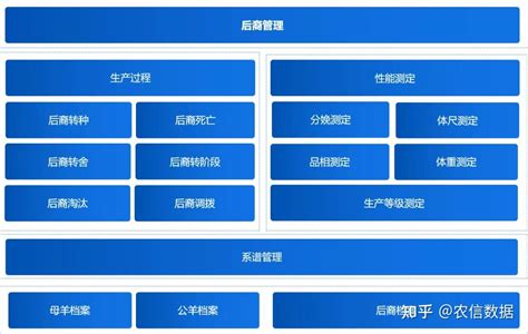 定制网站建设流程,定制网页制作步骤,定制网站定做,上海网站建设,专业网站设计