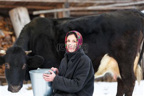 奶牛在院子里冬天的农妇高清摄影大图-千库网