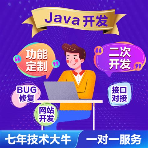 计算机程序开发Java代码编写php二次开发bug修复功能定制网站设计-淘宝网