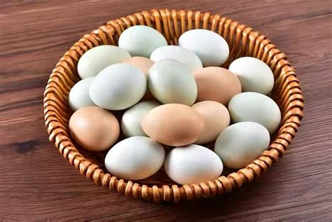 鸡蛋的筛选和检验，看完你就会知道，为什么要去正规场所买了！_腾讯视频