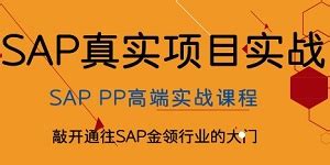 ERP中SAP的SD模块-SAP系统的SD、MM、PP、FI、CO模块分别代表什...