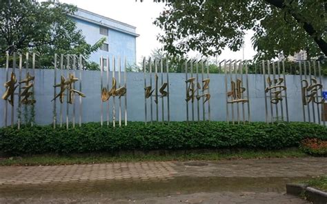 桂林山水职业学院是公办还是民办 —中国教育在线