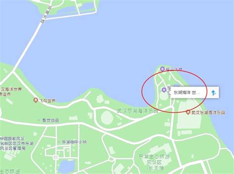 2024武汉东湖海洋世界游玩攻略-门票价格-景点信息_旅泊网
