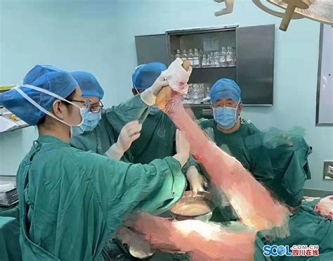 2021中华医学会整形外科学分会第十九次全国学术交流会