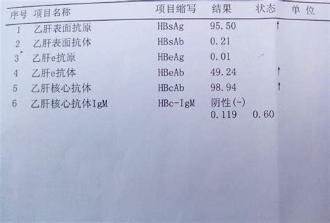 乙肝检查 (62)_有来医生