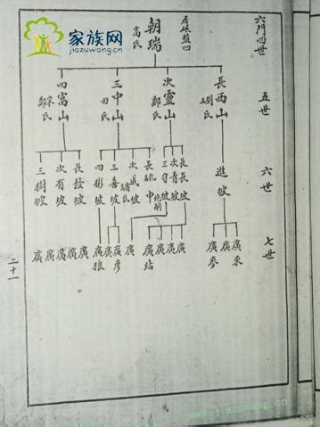 家谱树状图怎么画，简单梳理关系 - 迅捷画图
