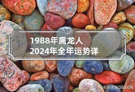 1988年属龙人2024年全年运势详解 1988属龙在2024年运势_卦无忧
