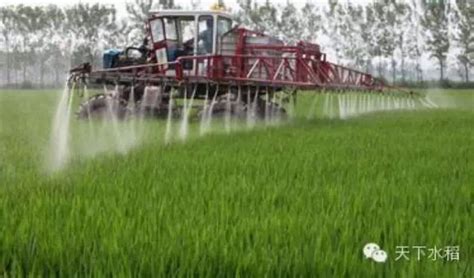 【稻亦有道】 水稻叶面肥喷施的注意要点 - “稻”亦有道 - 新农资360网|土壤改良|果树种植|蔬菜种植|种植示范田|品牌展播|农资微专栏