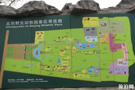 2019北京动物园-旅游攻略-门票-地址-问答-游记点评，北京旅游旅游景点推荐-去哪儿攻略