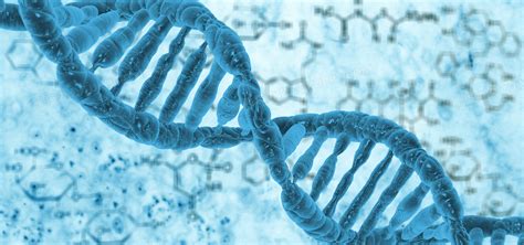 人类的基因测序全部完成，这意味着什么？基因研究是把双刃剑_智人_物种_生活