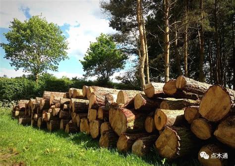 奥地利木材市场：木材价格再次大幅上涨_红木网_hongmu.info