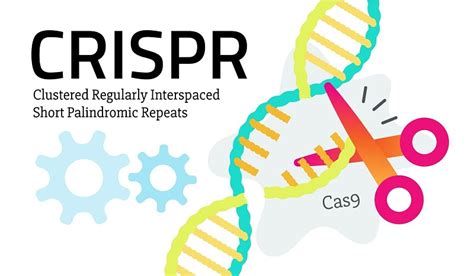 CRISPR基因编辑技术-苏州阿尔法生物实验器材有限公司