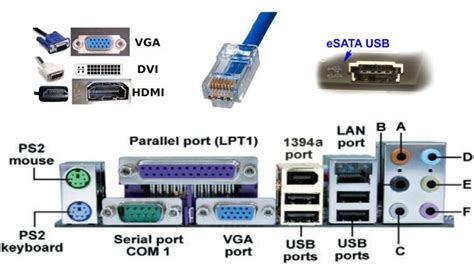 Types Of Computer Ports And Their Functions Turbofutu - vrogue.co